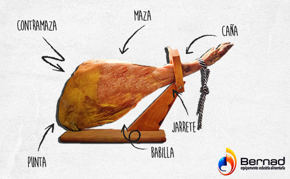 partes del jamon