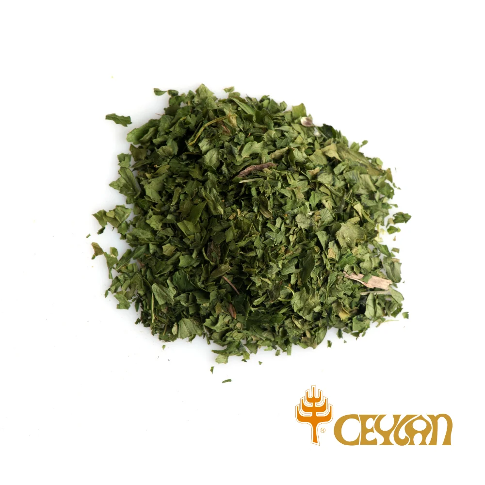 PEREJIL HOJA MEDIANA 1KG