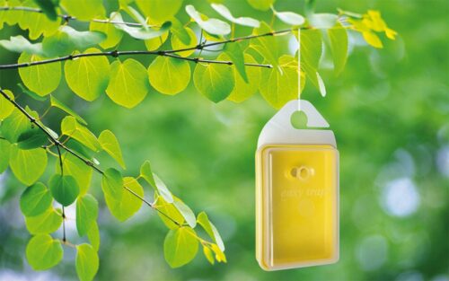 Atrapador de insectos Easy Trap Fricosmos