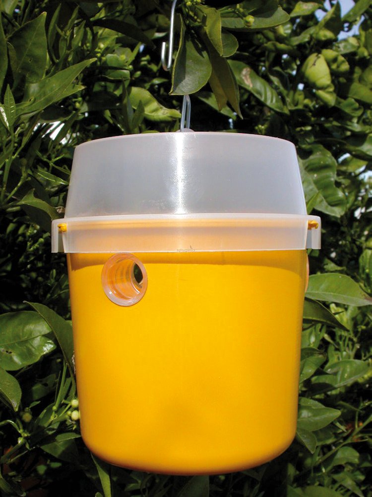 Atrapador de insectos Tephri Trap Fricosmos