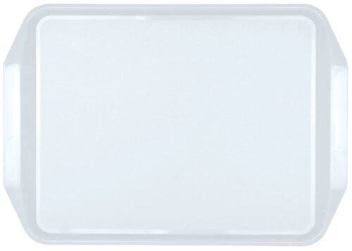 Bandeja de presentación BP2 Fricosmos 430x310x31 mm