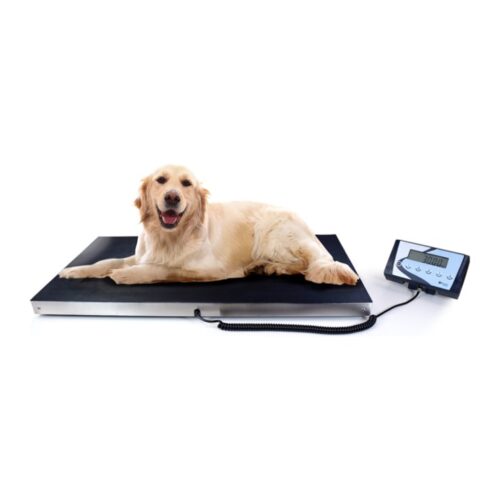 Baxtran AIS-W veterinary scale with wheels