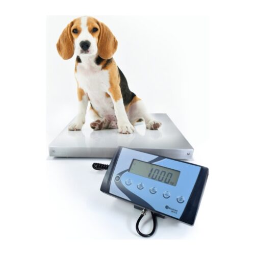 Baxtran AIS veterinary and parcel scale