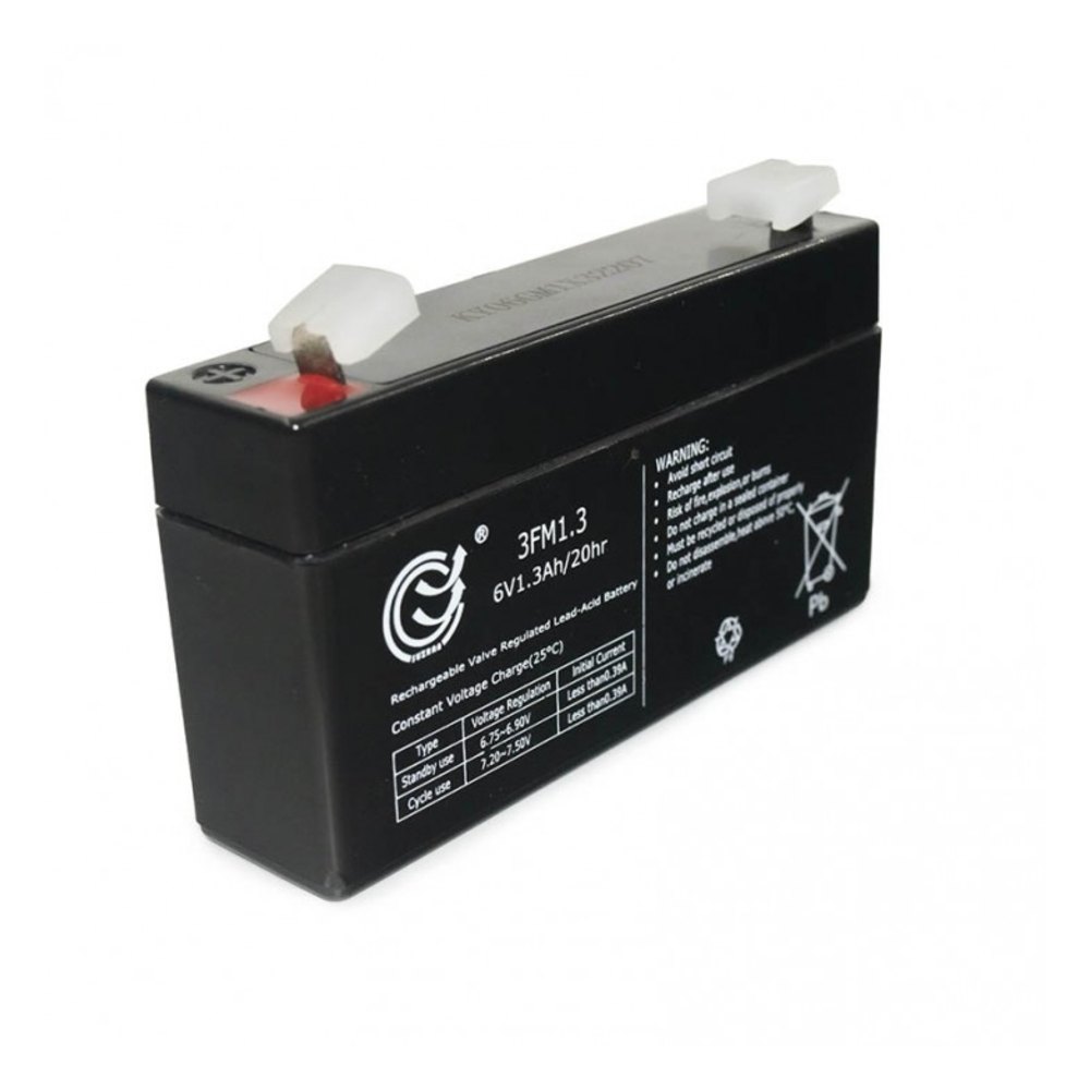 Baxtran 6 V replacement batteries