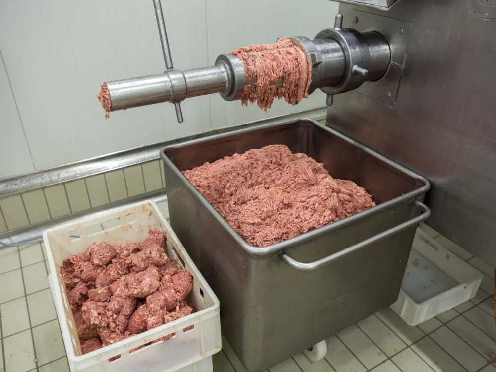 Carro cutter de acero inoxidable con carne picada bajo una picadora industrial