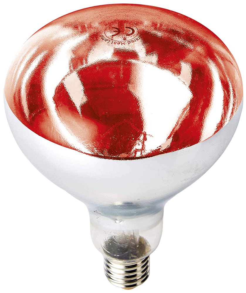 Bombilla calentadora inastillable luz roja ES 250 W Fricosmos