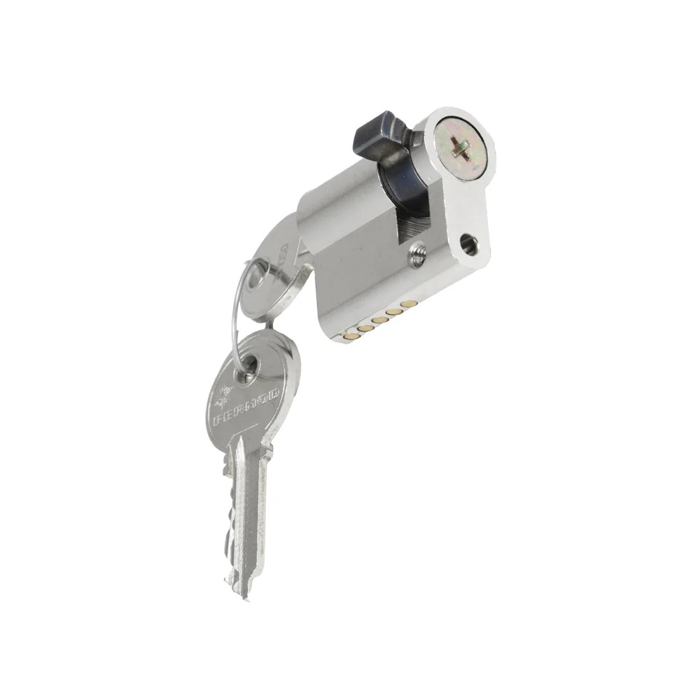 Cylinder with the key inserted