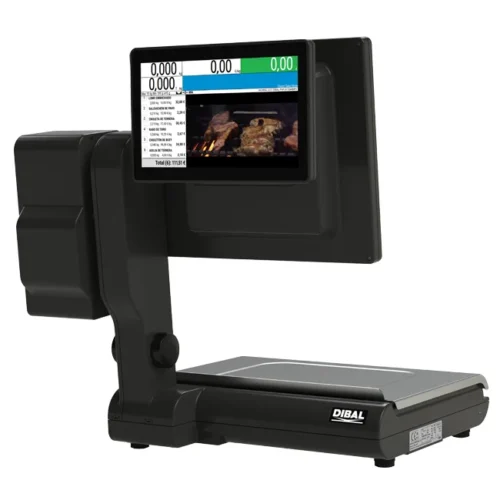 Dibal DX-5255 dual-body scale, customer side