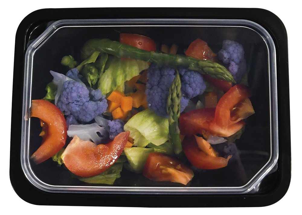 Envase take away o delivery rectangular con tapa Fricosmos