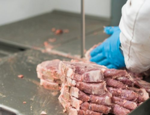 Hojas de sierra para carne, hueso y congelado: tipos de diente y cómo elegir la tuya