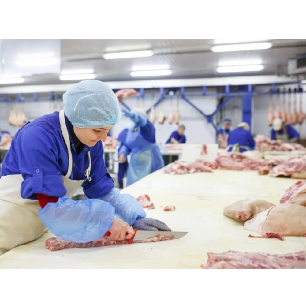 Meat cutting room with lighting