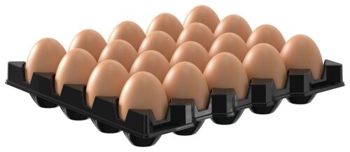 Organizador de huevos para cubeta GN 2/1 Fricosmos
