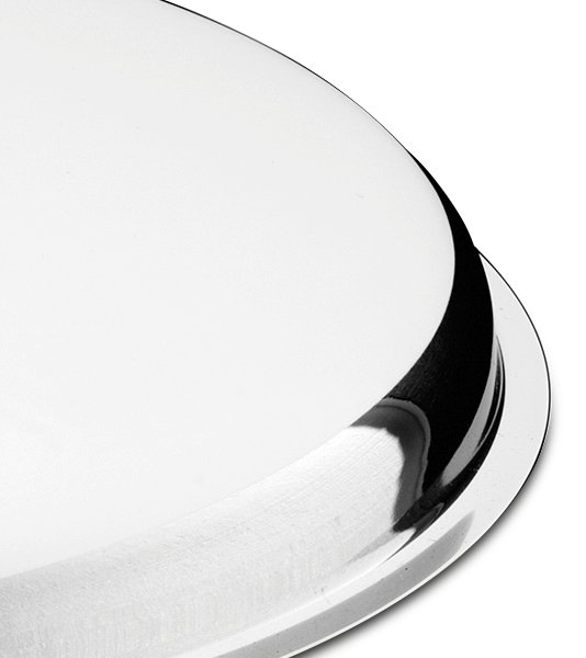 Tapa inox para aro de tolva de desbarasado Fricosmos ø240x26 mm